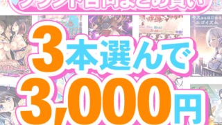 fanzagames 0139selectpl 320x180 - 【まとめ買い】1，600作品以上から3本選んで3，000円！夏のブランド合同まとめ買い