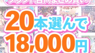 fanzagames 0142selectpl 320x180 - 【まとめ買い】1，600作品以上から20本選んで18，000円！夏のブランド合同まとめ買い