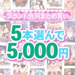 fanzagames 0140selectpl 1 150x150 - 【まとめ買い】1，700作品以上から5本選んで5，000円！夏のブランド合同まとめ買い