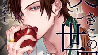 d 703104pl 320x180 - 2026/01/31 FANZA同人TL人気作10選