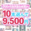 fanzagames 0166selectpl 2 100x100 - 【まとめ買い】1，600作品以上から10本選んで9，500円！春のブランド合同まとめ買い
